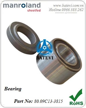 Bearing 80.09C13-3815