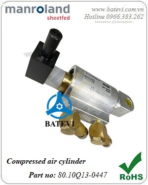 Cylinder 80.10Q13-0447