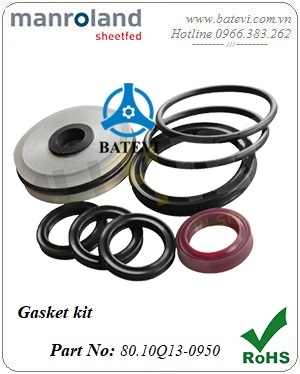 Gasket kit 80.10Q13-0950