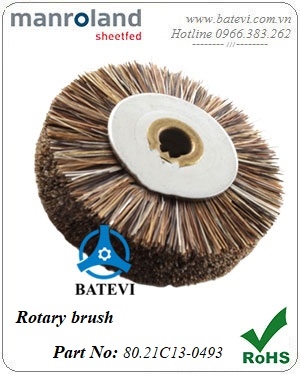 Rotary brush 80.21C13-0493