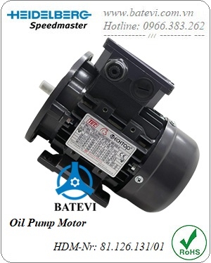 Oil Pump Motor 81.126.131
