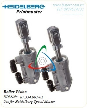 Roller piston 87.334.001/01