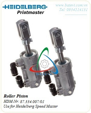 Roller piston 87.334.007