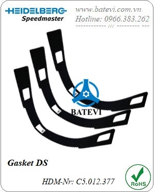 Gasket DS C5.012.377