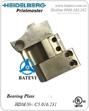 Bearing C5.016.231