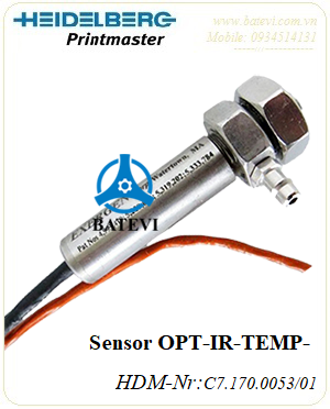 Sensor OPT IR TEMP C7.170.0053/01