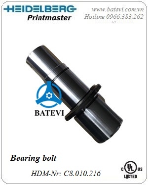 Bearing bolt C8.010.216