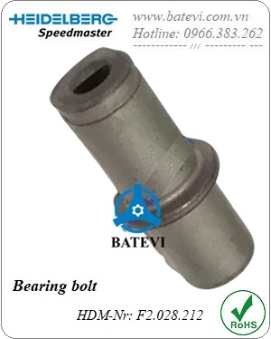 Bearing bolt F2.028.212