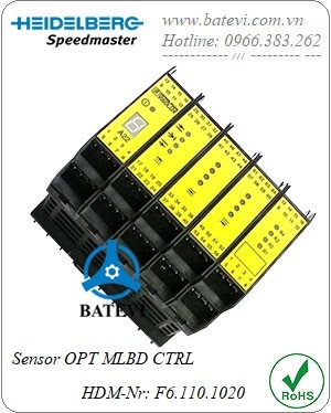 Sensor F6.110.1020