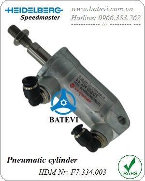 Pneumatic cylinder F7.334.003