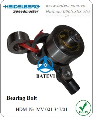 Bearing Bolt MV.021.347