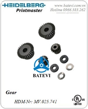 Gear MV.025.741