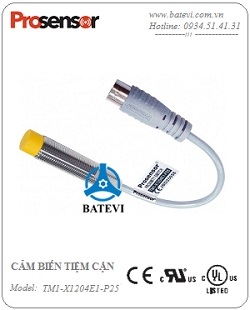 Cảm biến TM1-X1204E1-P25