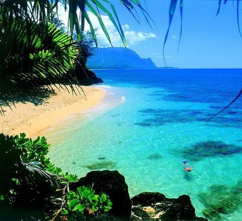 Lễ hội Hawaii
