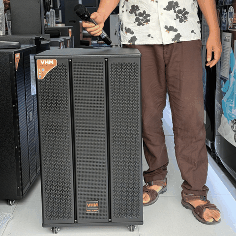 Loa Karaoke Di Động VHM 15A01 / Bass 40cm / 200W