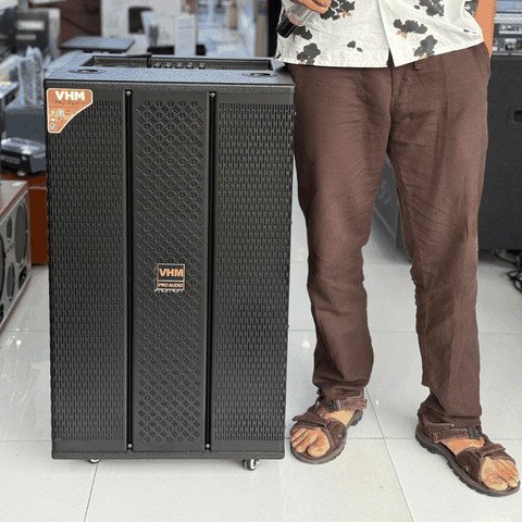 Loa Karaoke Di Động VHM 15A02 / Bass 40cm / 300W