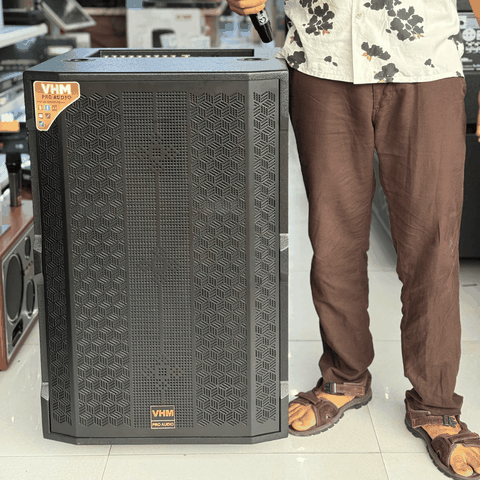 Loa karaoke di động VHM 18C Bass 50cm 800W