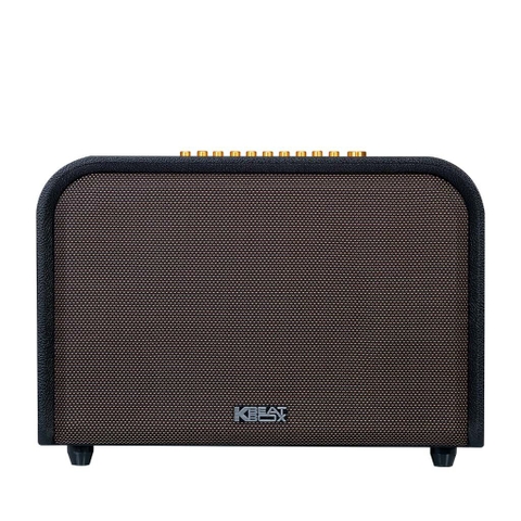 Loa xách tay karaoke Acnos ACOUSTIC 3 ( Bass 25cm, Công suất 220W )