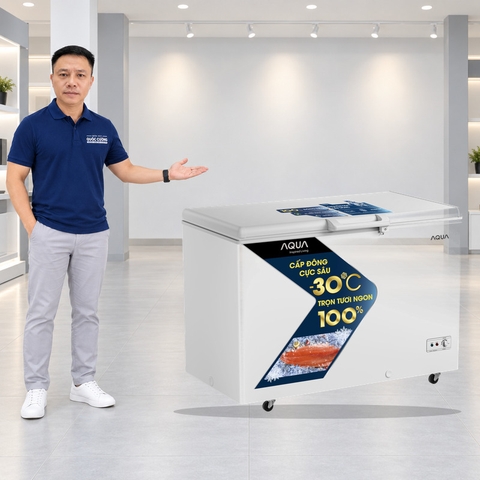 Tủ đông Aqua Inverter 379 lít AQF-C4801EN