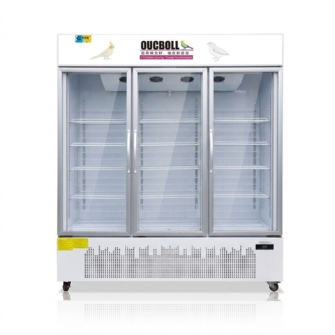 Tủ đông đứng 3 cánh kính 1m8 Oucboll LD-1800F - 1276 lít