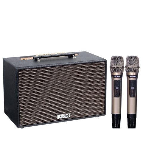 Loa karaoke xách tay Acnos CS201PLUS Bass 20cm 100W