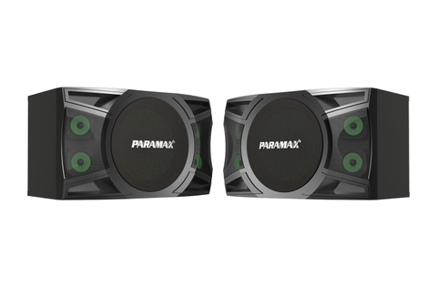 Loa Karaoke 12-inch Paramax P-2000