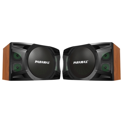 Loa Karaoke 12 inches Paramax P-2500