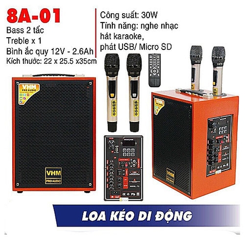 Loa karaoke xách tay VHM 8A01