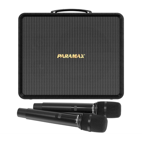 Loa karaoke xách tay PARAMAX Acton Bass 25cm 200W