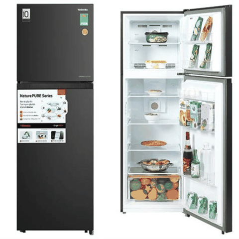 Tủ lạnh Toshiba Inverter 271 lít GR-RT349WE-PMV(68)