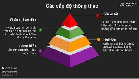 🎯 TỔNG KẾT WORKSHOP : 