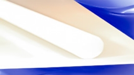 Nhựa Ertalon® 66 SA