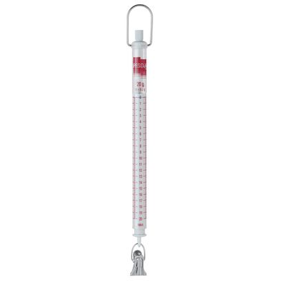 Cân treo lò xo chính xác cao 10g -1000g PESOLA -# 173100