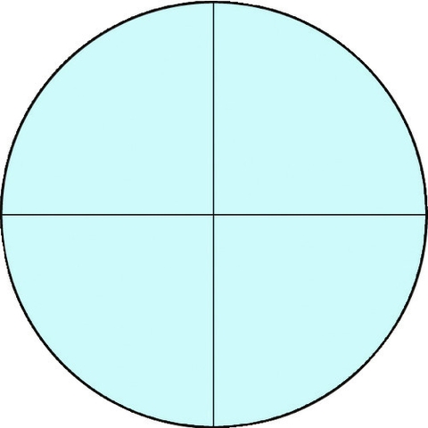 Carton Optical Việt Nam | Carton Scale MW8481715