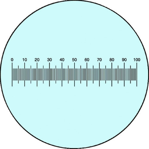 Carton Optical Việt Nam | Carton Scale MW8481717