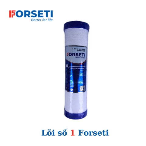 Lõi lọc số 1 Forseti