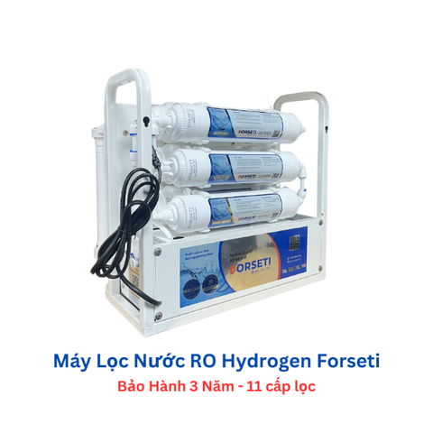 Máy lọc nước để gầm Forseti 11 cấp Model FWP-819