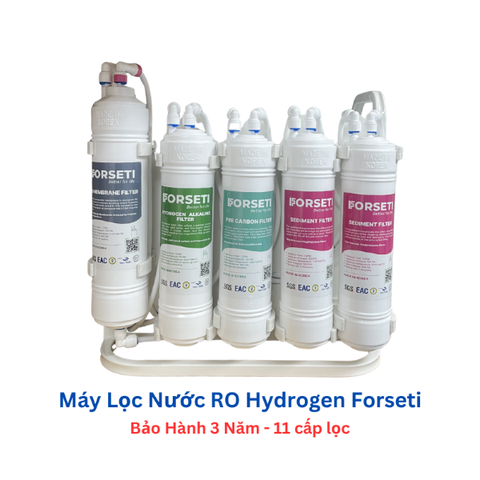 Máy lọc nước để gầm Forseti 11 cấp Model FWP-819