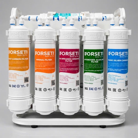 Máy lọc nước RO để gầm Forseti 11 cấp Model FWP-1128