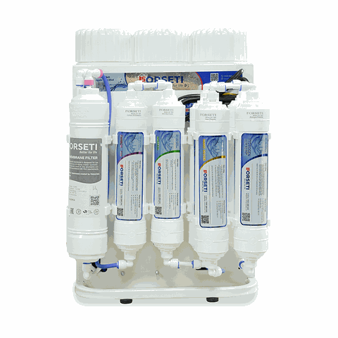 Máy lọc nước RO Forseti Model FWP-888-X10