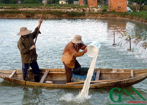 pH và tầm quan trọng đối với nuôi trồng thủy sản