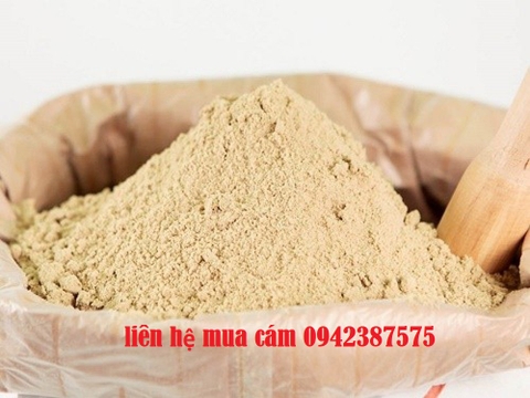 Cám gạo làm thức ăn chăn nuôi