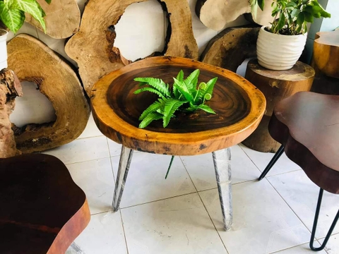 Thiên nhiên nơi khởi nguồn của những cái đẹp