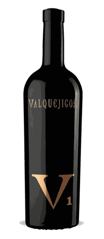 V1 Valpuejigoso 2008