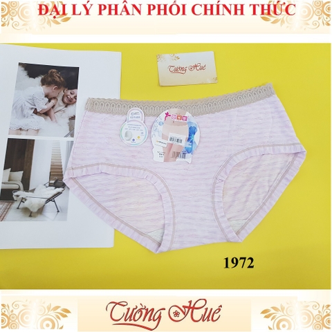 Quần lót nữ Miaolina 1972 lưng ren cao MÀU NGẪU NHIÊN.