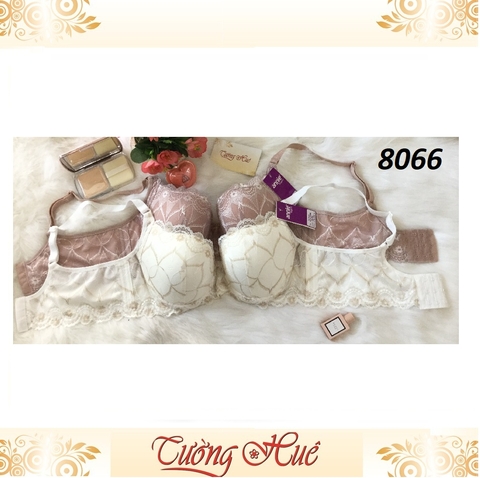 Áo lót nữ Annie Bra 8066 nguyên bảng to.