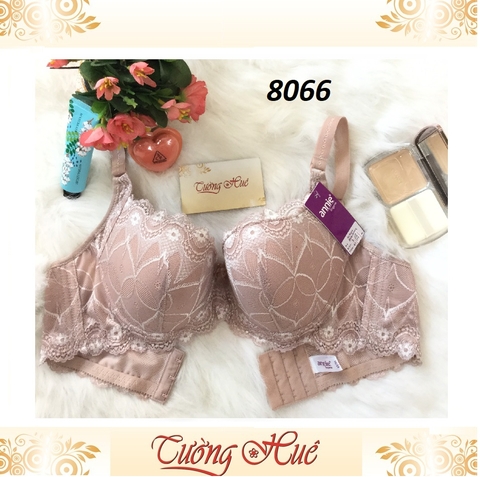 Áo lót nữ Annie Bra 8066 nguyên bảng to.