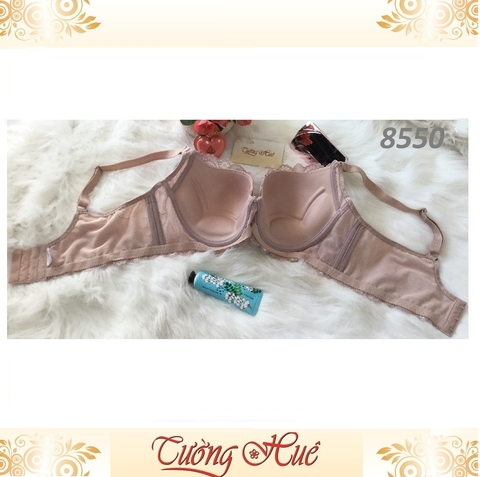Áo lót nữ Annie Bra 8066 nguyên bảng to.