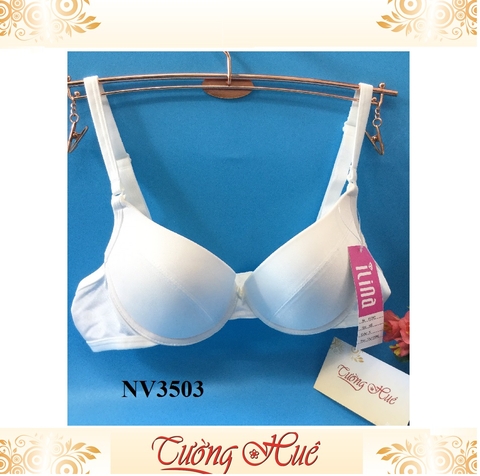 Áo lót nữ Ilina NV3503 dạng V sâu.
