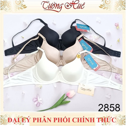 Áo Lót Nữ Thái Lan Jintana JB2858 Có Gọng Trơn Mút Mỏng 2 Móc Cài.